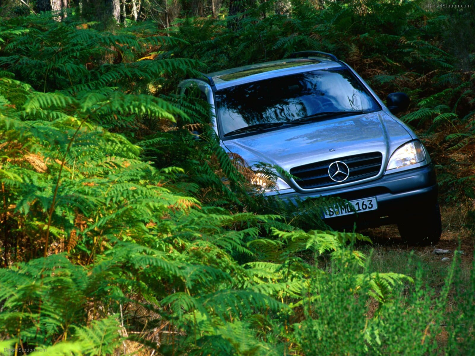 Mercedes M Class